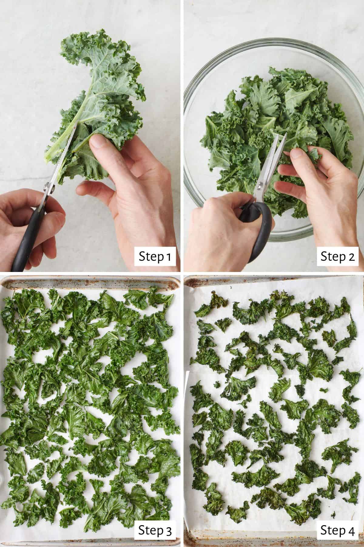 Collage showing the fresh kale getting cut and dried to make baked kale chips