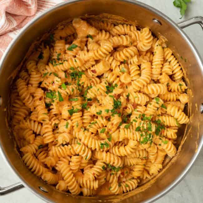 Cottage Cheese Tomato Pasta in a pot garnished with fresh parsley.