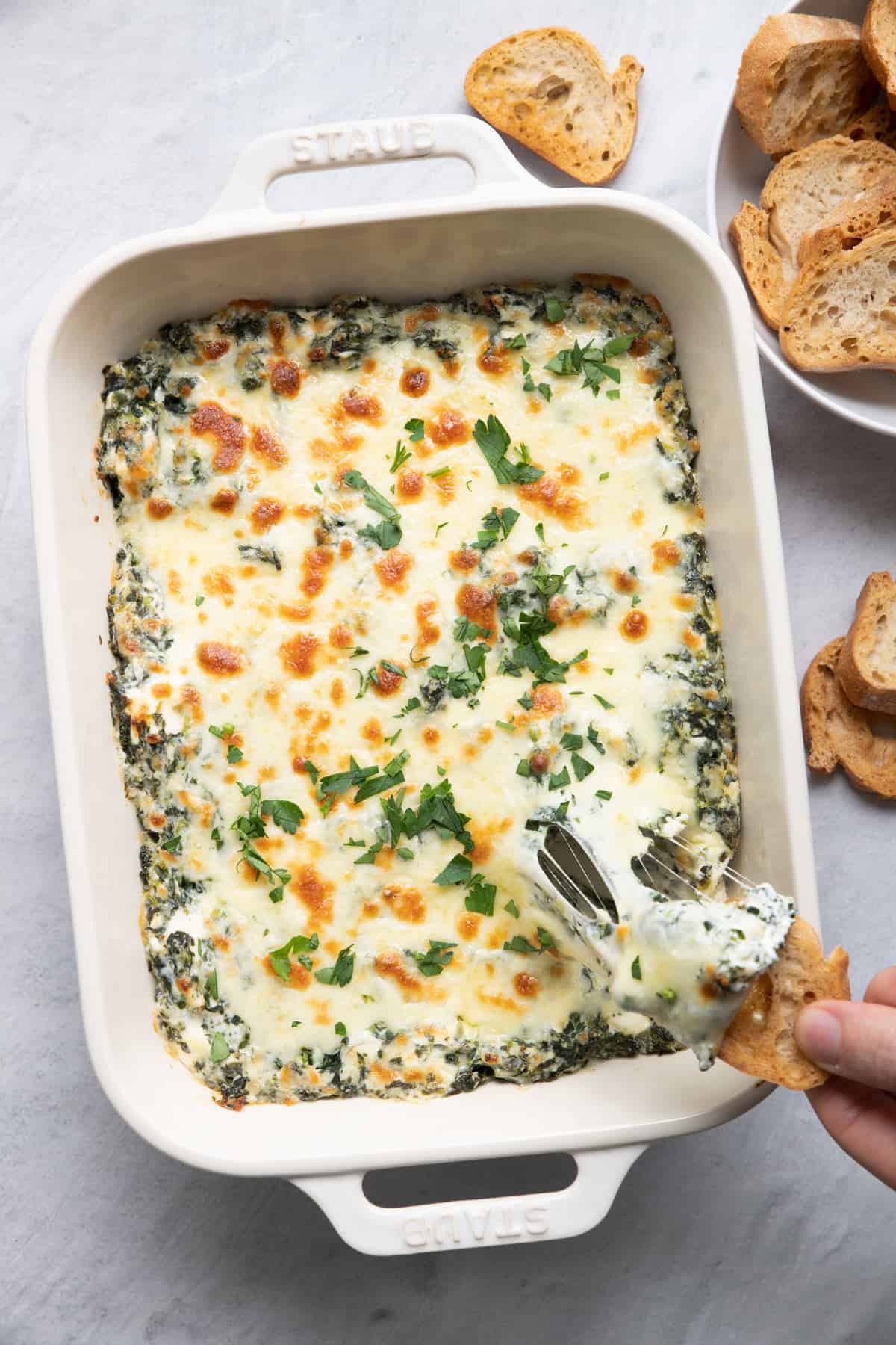 Cream cheese spinach dip with toasted bread
