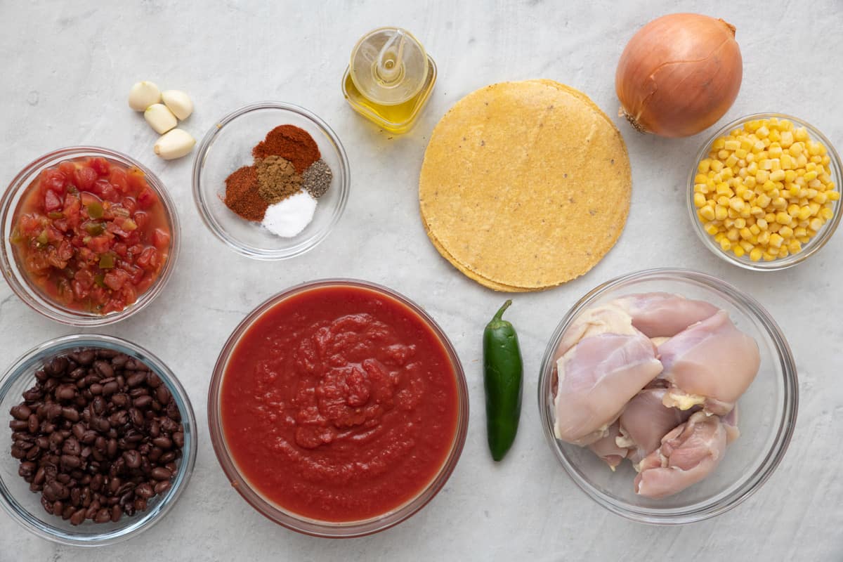Ingredients for recipe: diced tomatoes with green chilis, drained and rinsed black beans, garlic, seasonings, crushed tomatoes, oil, corn tortillas, jalapeno, onion, corn, and chicken thighs.