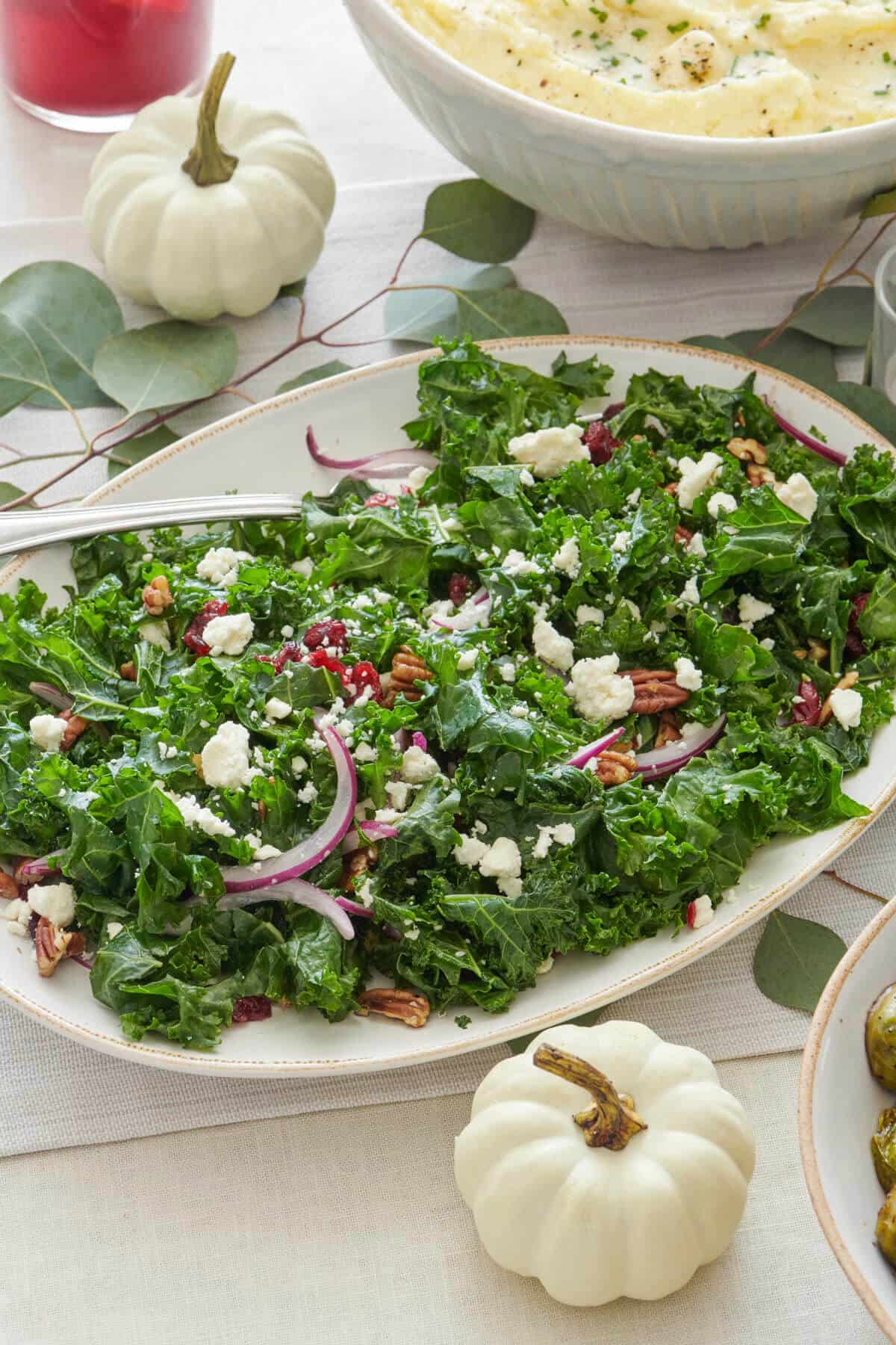 Massaged kale salad on a platter with a serving being lifted up.