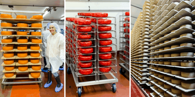 Inside the Roth Cheese Creamery